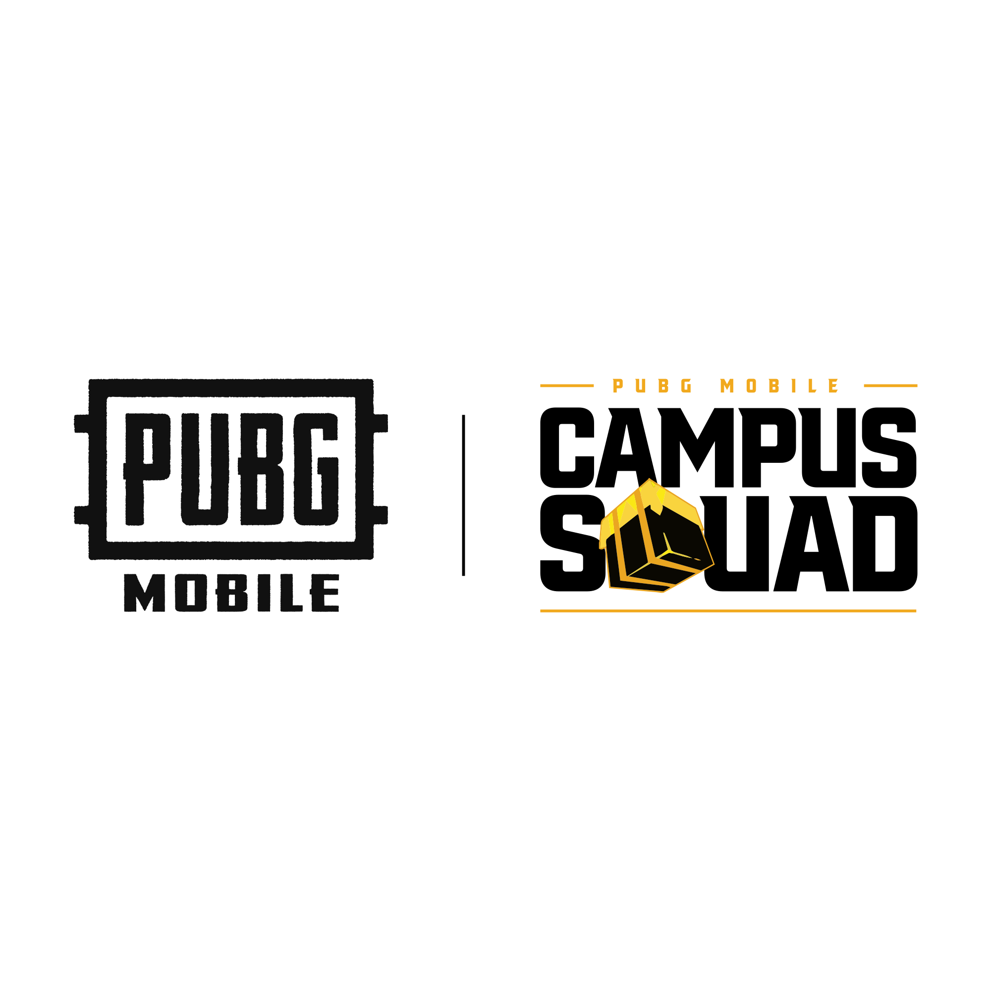 COP4346 PUBG Mobile “Game Design Practices”